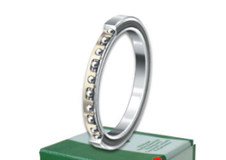 INA CSCG070 bearings